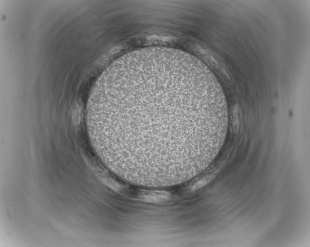 X0000085230463200704092002