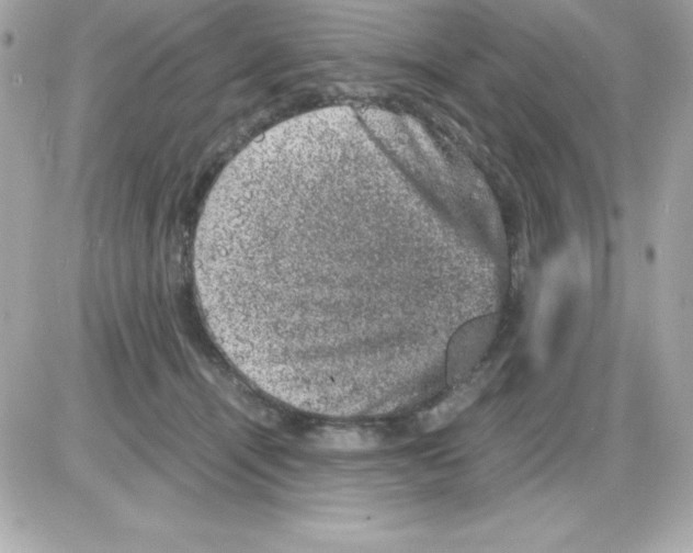 X0000085230464200704092002