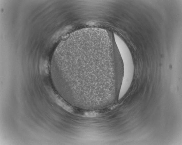 X0000085230470200704092002