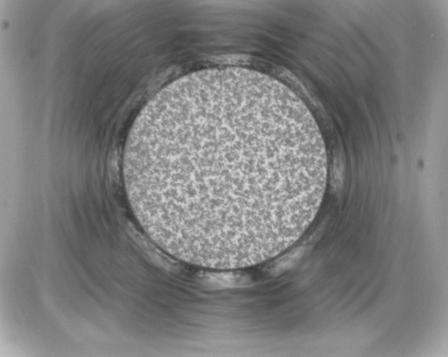 X0000085230473200704092002