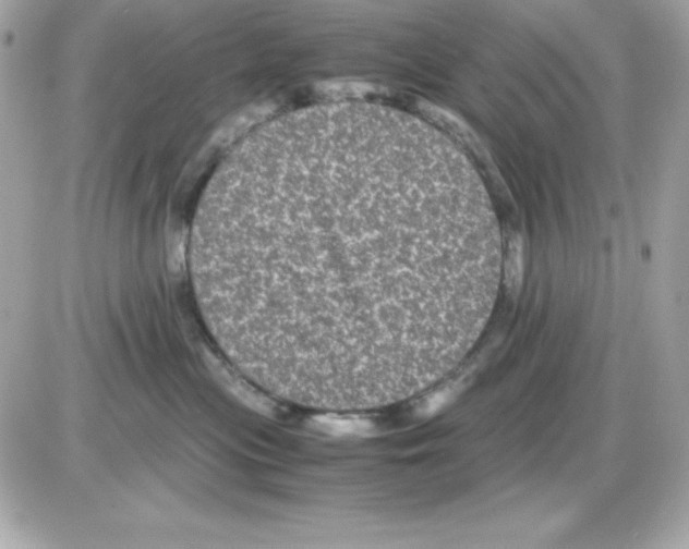 X0000085230477200704092002
