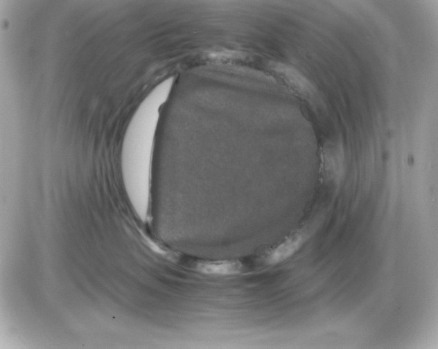 X0000085230479200704092002
