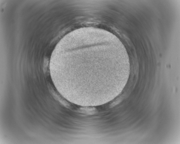 X0000085230480200704092002