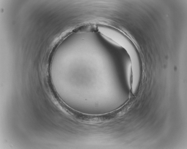 X0000085230485200704092001
