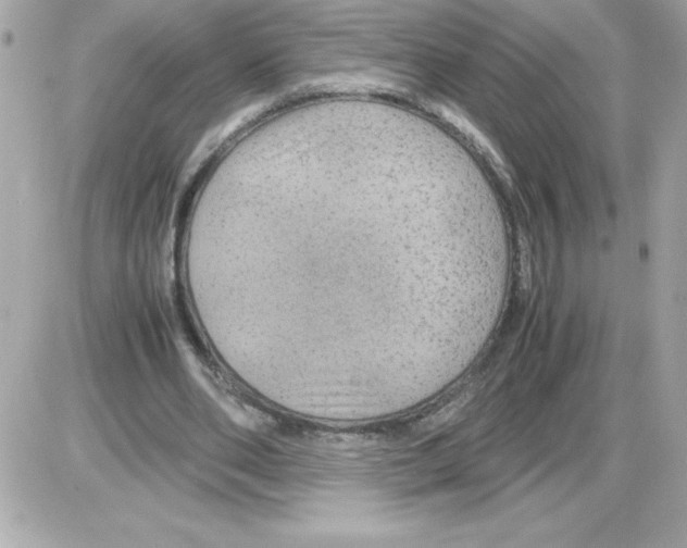 X0000085230486200704092001