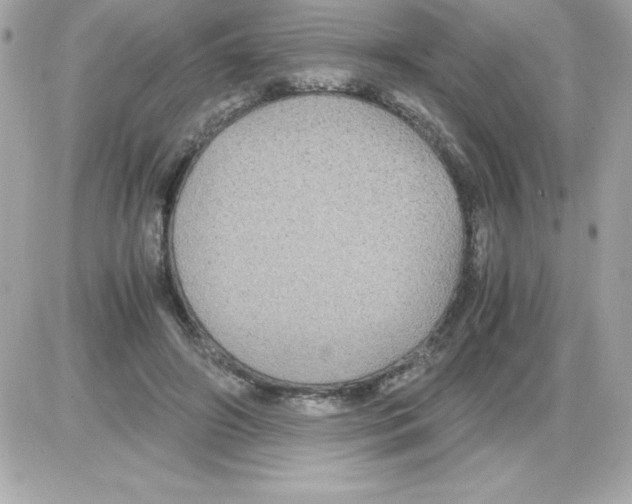 X0000085230498200704092001