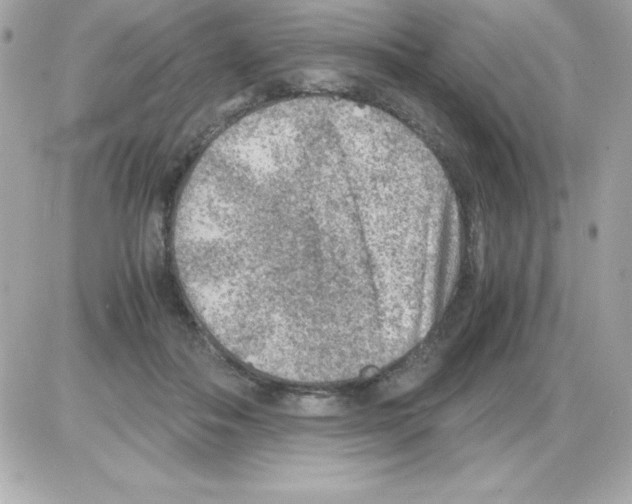X0000085230506200704092001