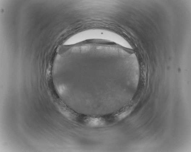 X0000085230507200704092001