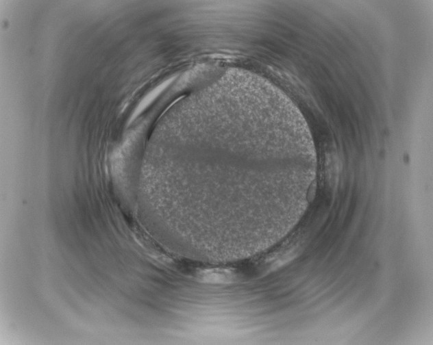 X0000085230508200704092001