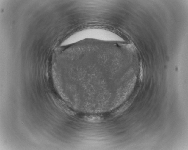 X0000085230512200704092001
