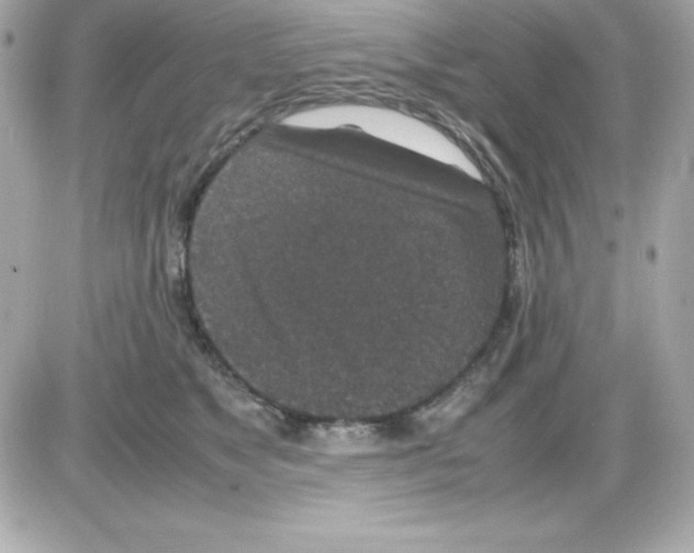 X0000085230517200704092001