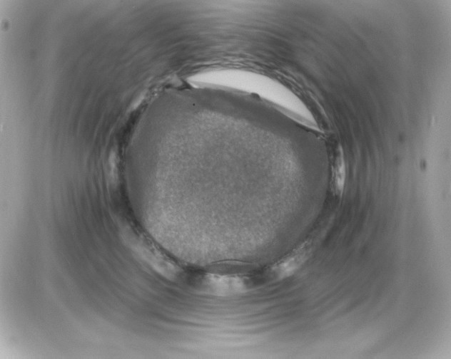 X0000085230520200704092001