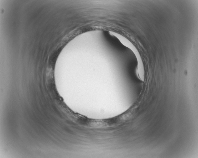 X0000085230521200704092001