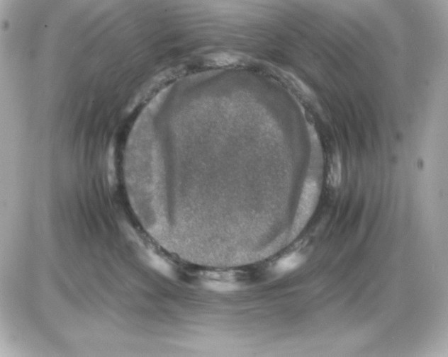 X0000085230524200704092000