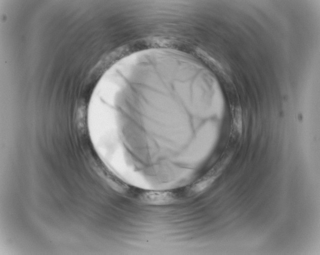 X0000085230526200704092000