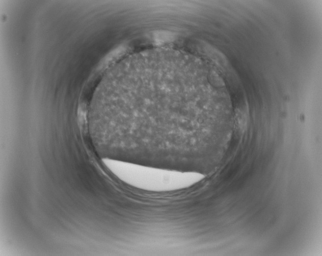 X0000085230527200704092000
