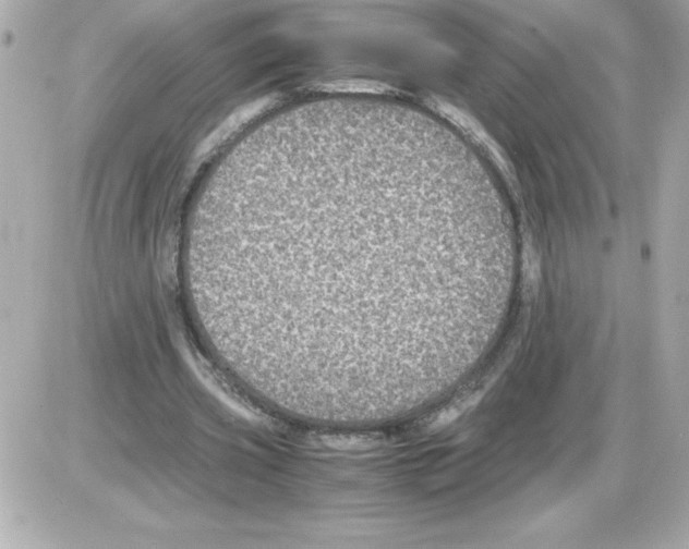 X0000085230533200704092000