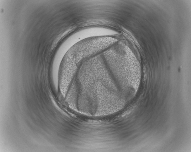 X0000085230538200704092000