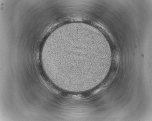 X0000085230548200704092000