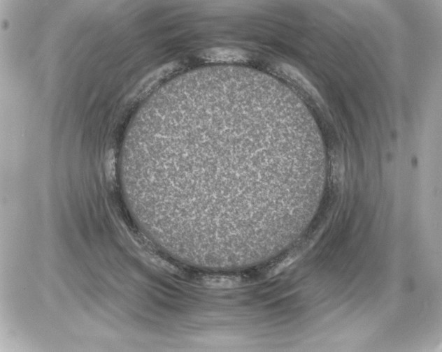 X0000085230549200704092000