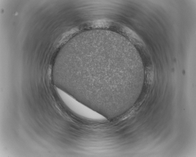 X0000085230550200704092000