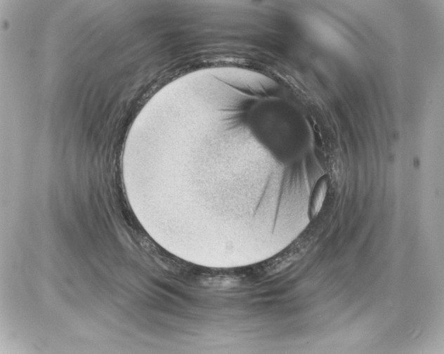 X0000085230551200704092000