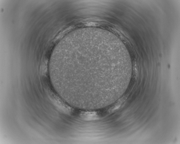 X0000085230554200704092000