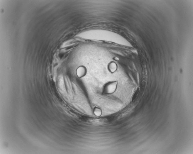 X0000085230558200704092000
