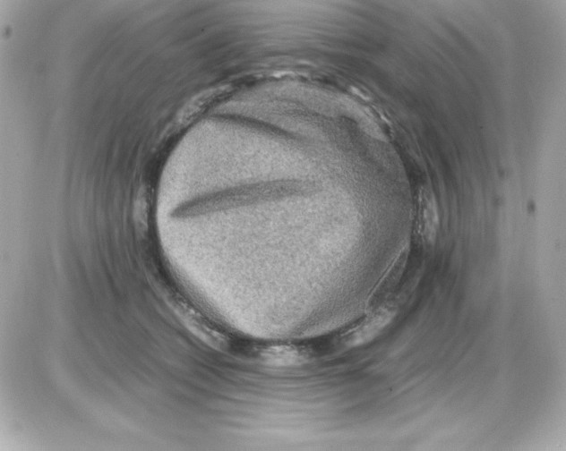 X0000085230562200704092000