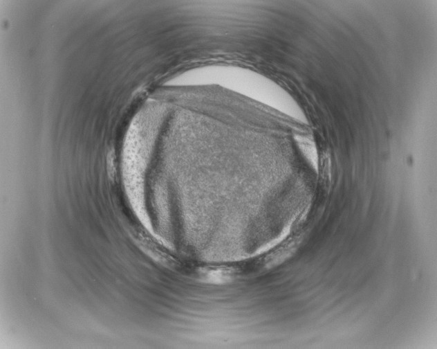 X0000085230564200704092000