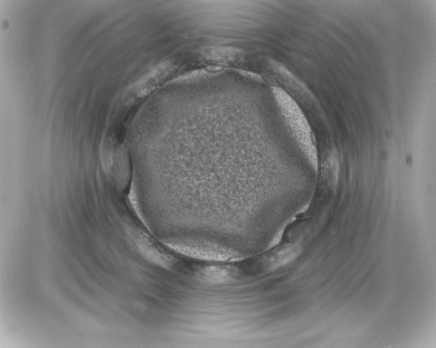 X0000085230566200704092000