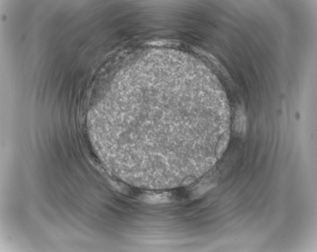 X0000085230569200704092000