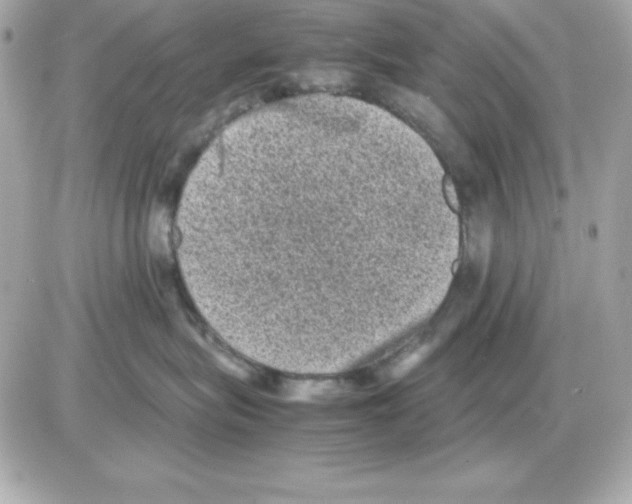 X0000085230575200704092000