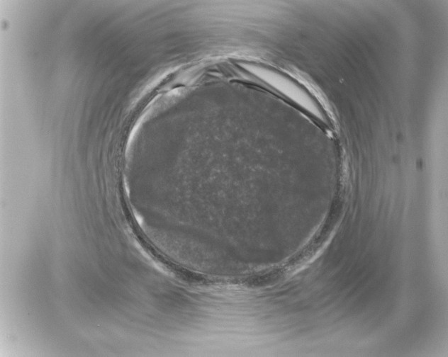X0000085230577200704092000