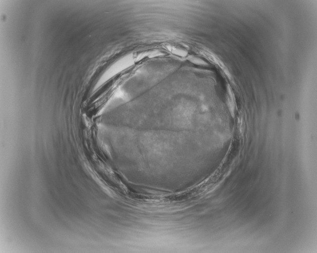 X0000085230589200704091959