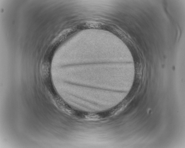 X0000085230603200704091959