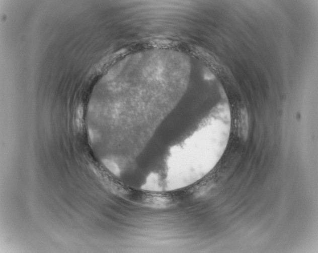 X0000085230610200704091959