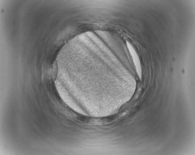X0000085230613200704091959