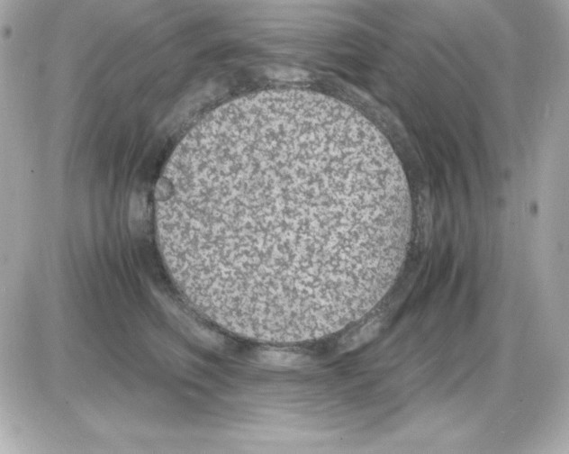 X0000085230614200704091959