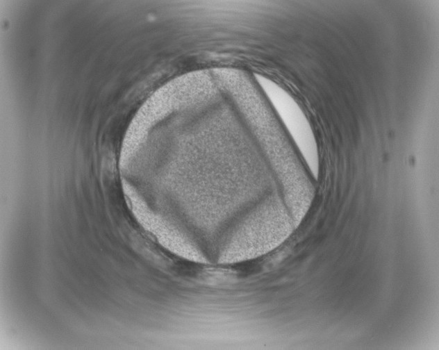X0000085230617200704091959
