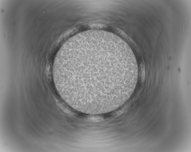 X0000085230619200704091959