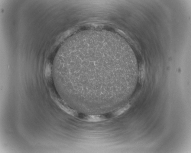 X0000085230623200704091959