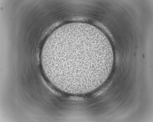 X0000085230633200704091958