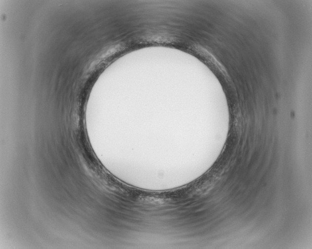 X0000085230635200704091958
