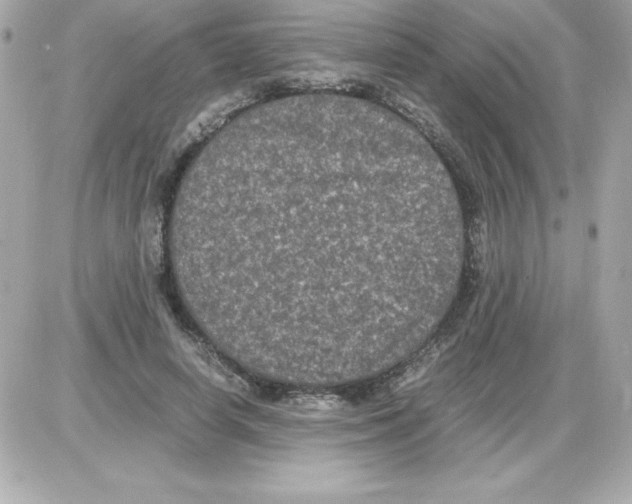 X0000085230642200704091958