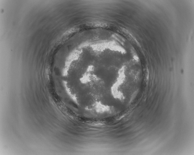 X0000085230643200704091958