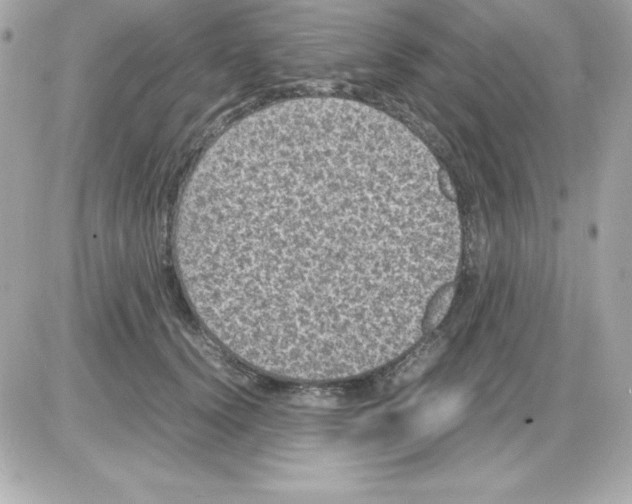 X0000085230656200704091958