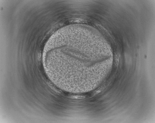 X0000085230657200704091958