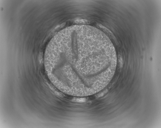 X0000085230665200704091959