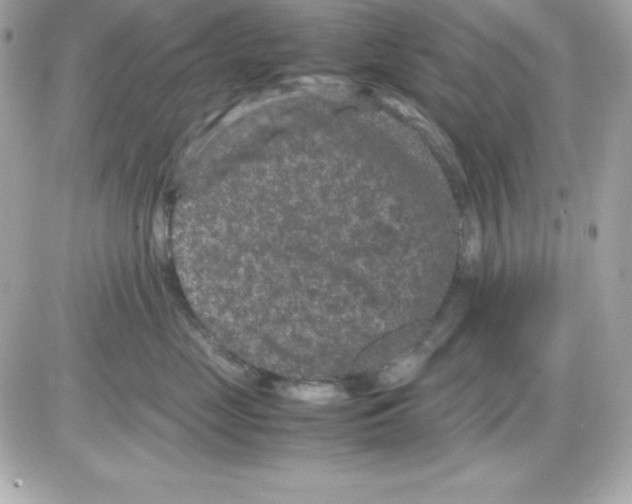X0000085230669200704091959